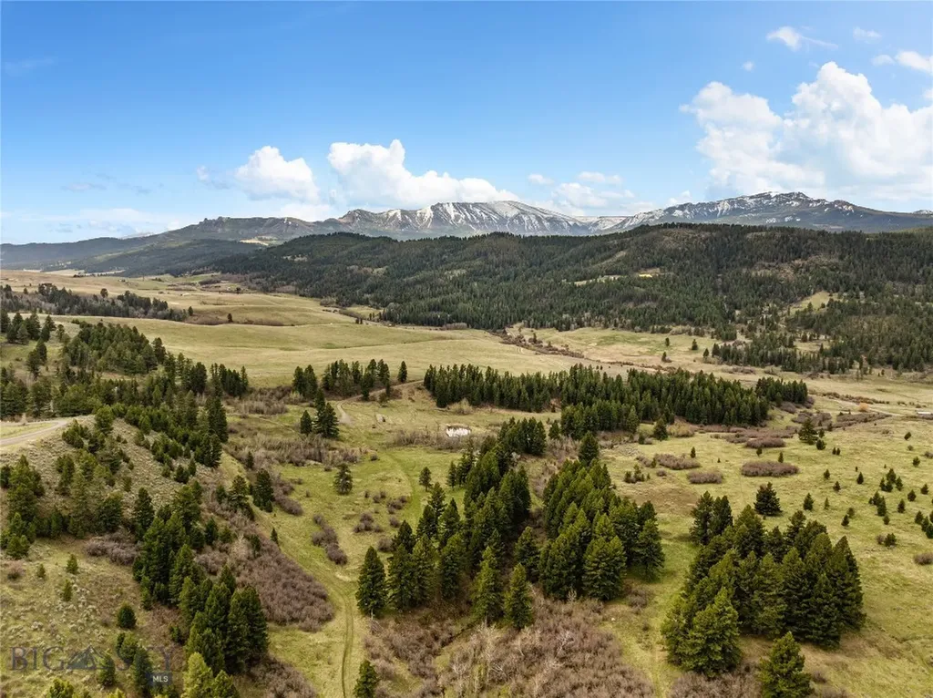 455 Harrison Meadow Bozeman MT 59715