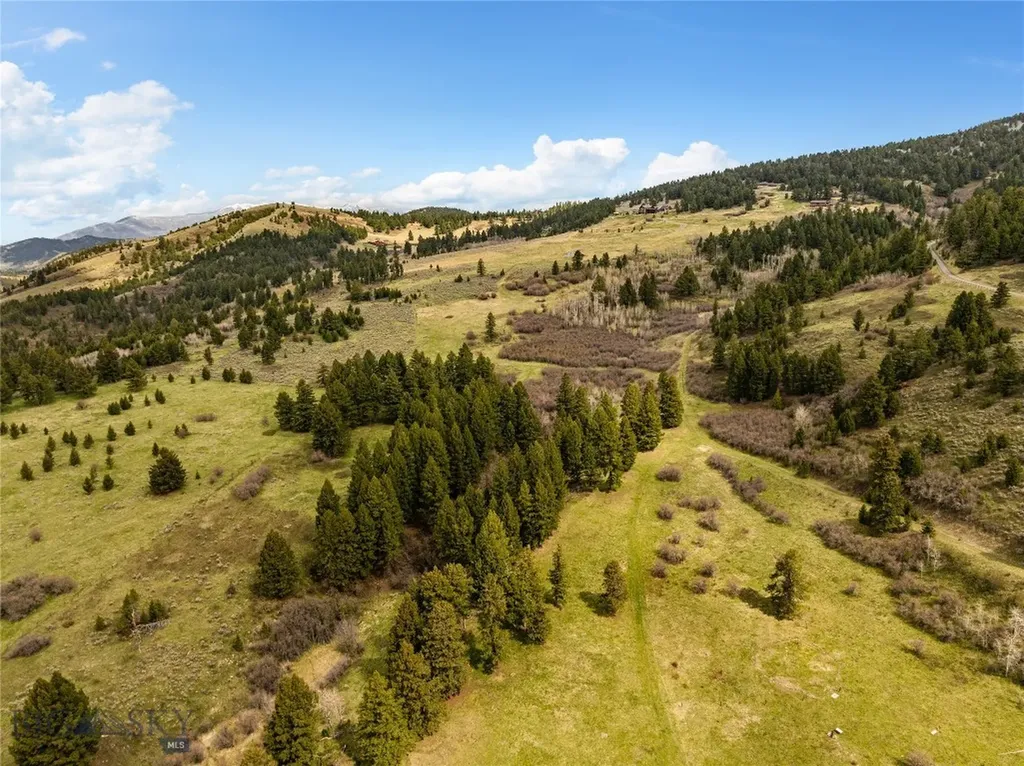 455 Harrison Meadow Bozeman MT 59715