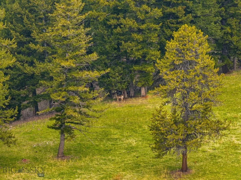 455 Harrison Meadow Bozeman MT 59715