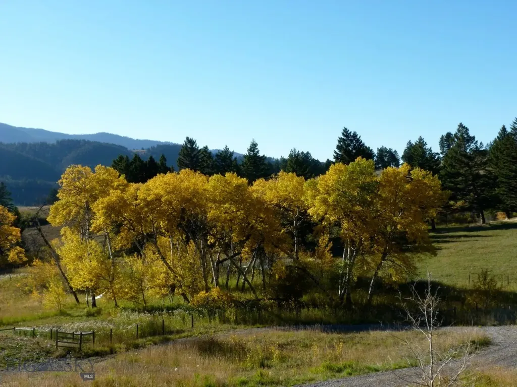 455 Harrison Meadow Bozeman MT 59715