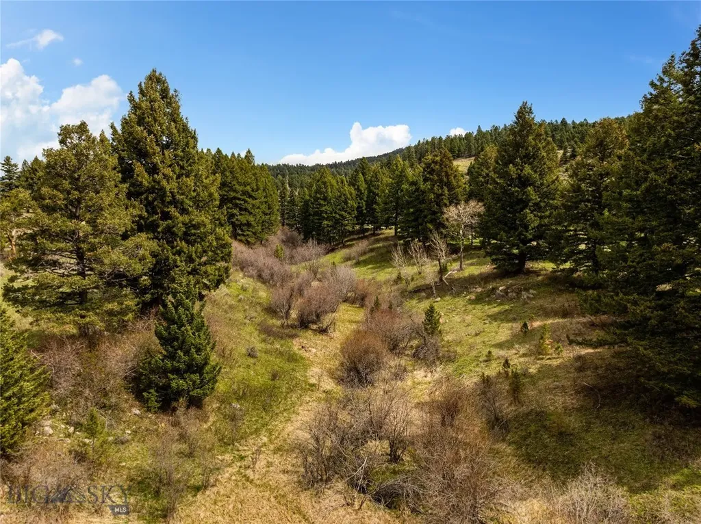455 Harrison Meadow Bozeman MT 59715