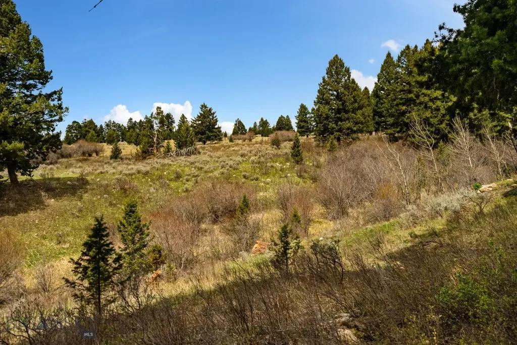 455 Harrison Meadow Bozeman MT 59715