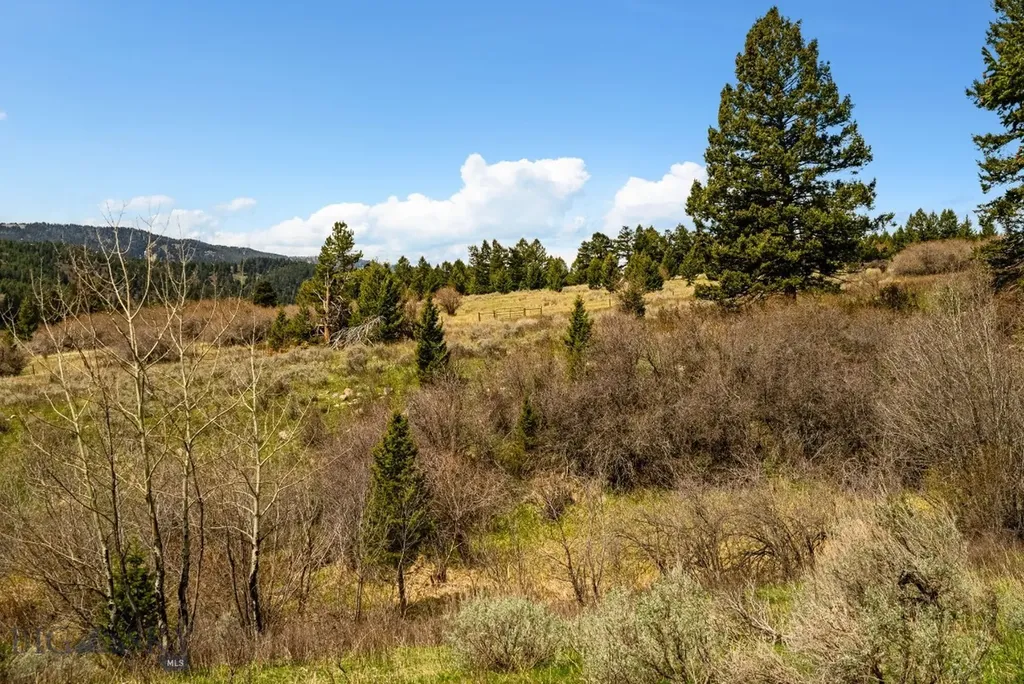 455 Harrison Meadow Bozeman MT 59715