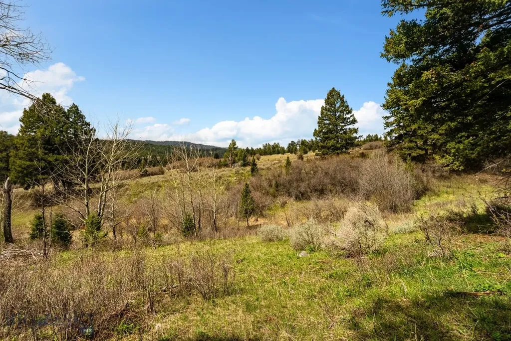 455 Harrison Meadow Bozeman MT 59715