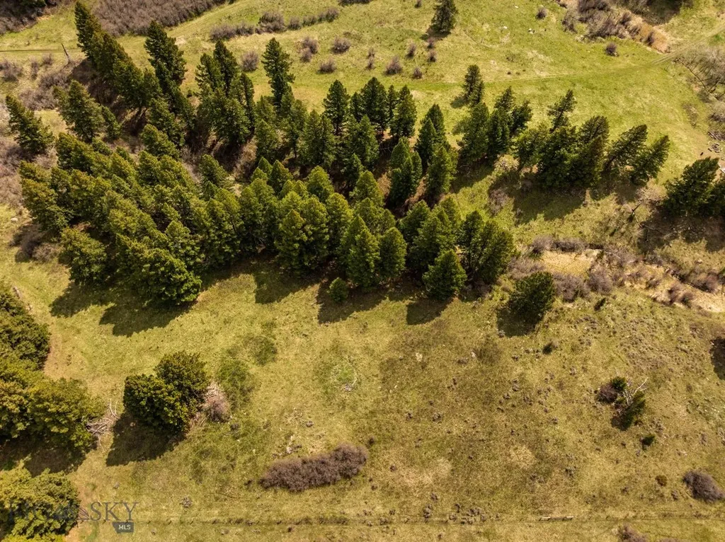 455 Harrison Meadow Bozeman MT 59715