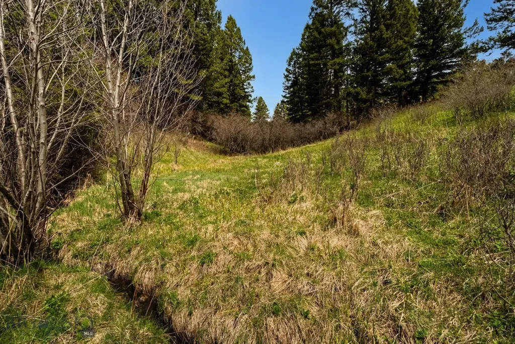 455 Harrison Meadow Bozeman MT 59715