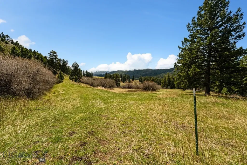 455 Harrison Meadow Bozeman MT 59715
