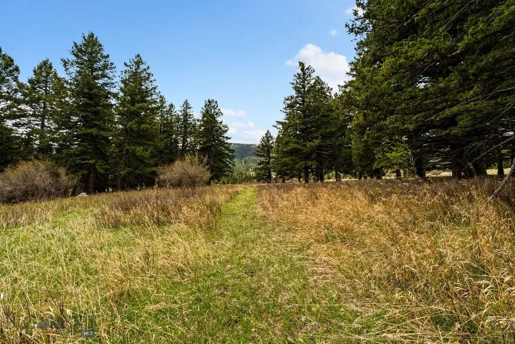455 Harrison Meadow Bozeman MT 59715