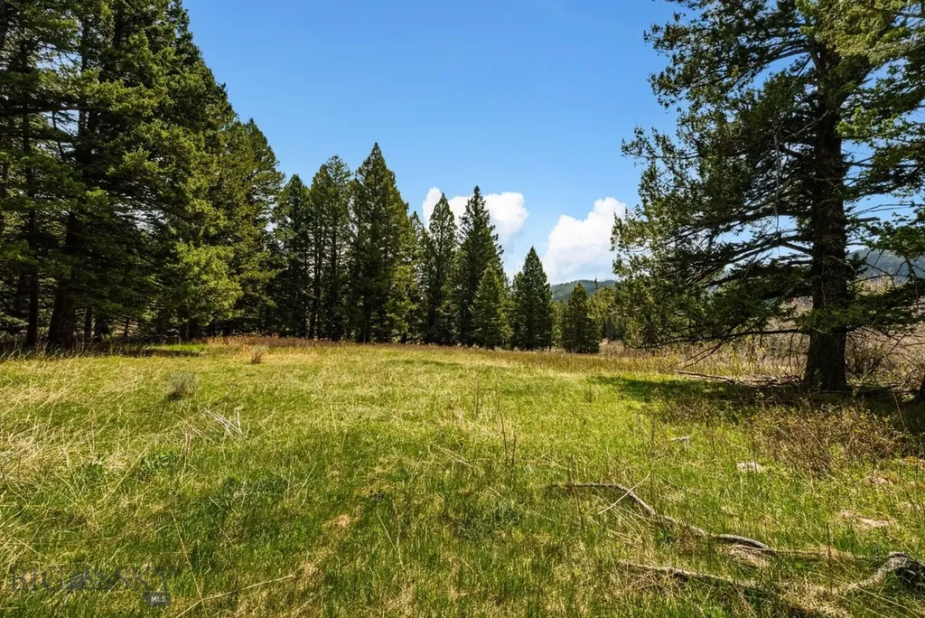 455 Harrison Meadow Bozeman MT 59715