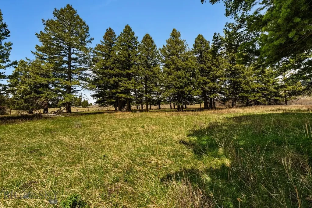 455 Harrison Meadow Bozeman MT 59715