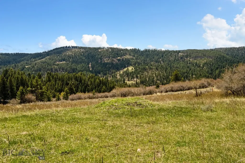 455 Harrison Meadow Bozeman MT 59715