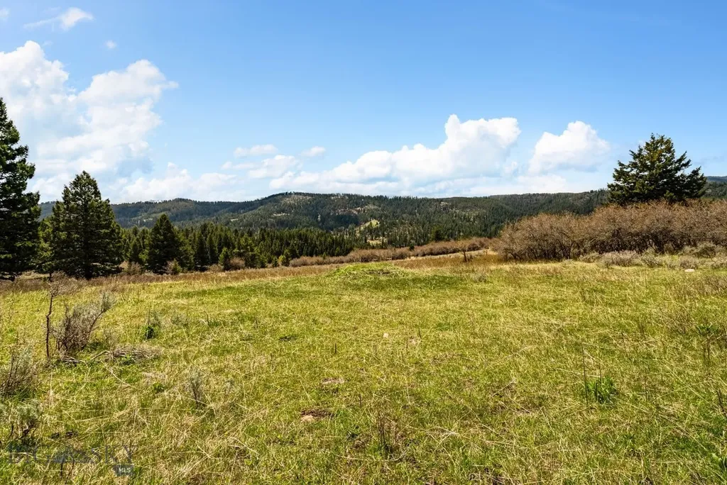 455 Harrison Meadow Bozeman MT 59715