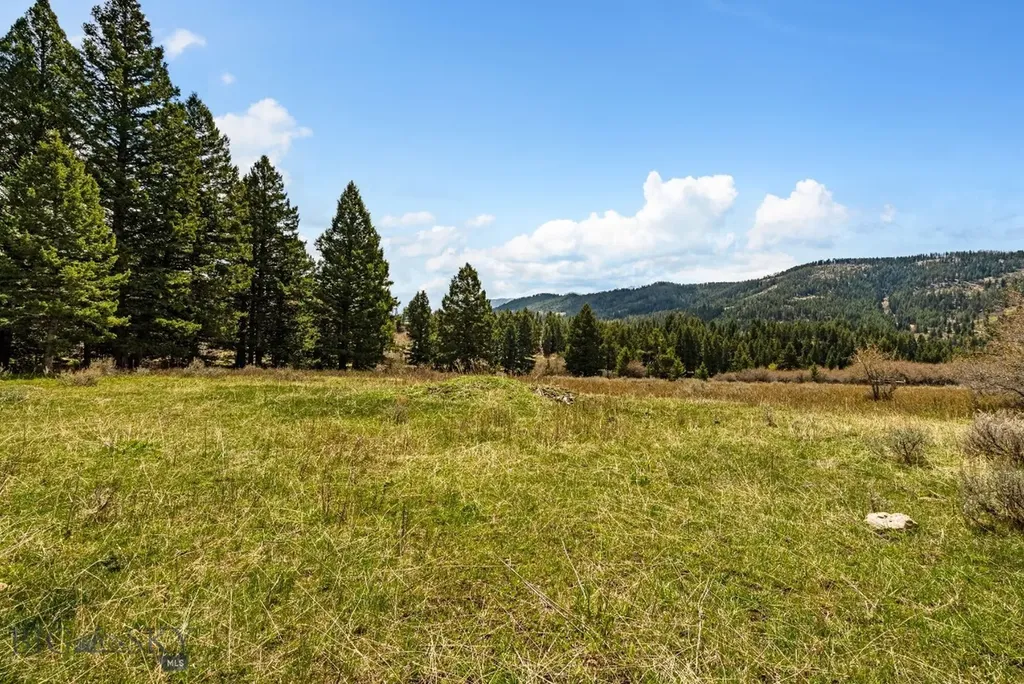 455 Harrison Meadow Bozeman MT 59715