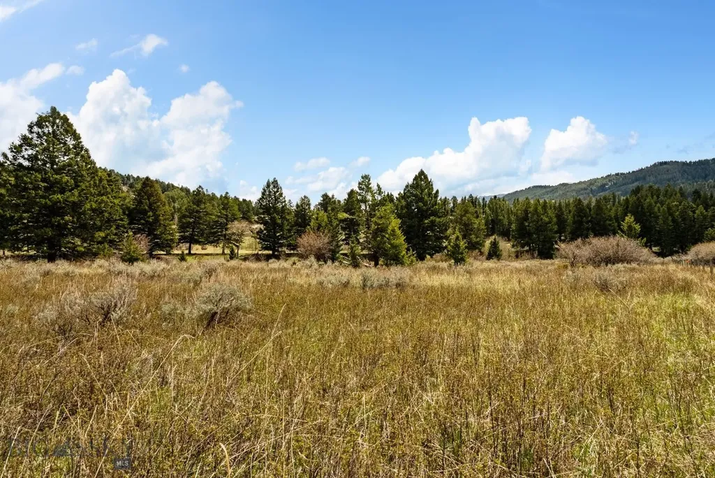 455 Harrison Meadow Bozeman MT 59715