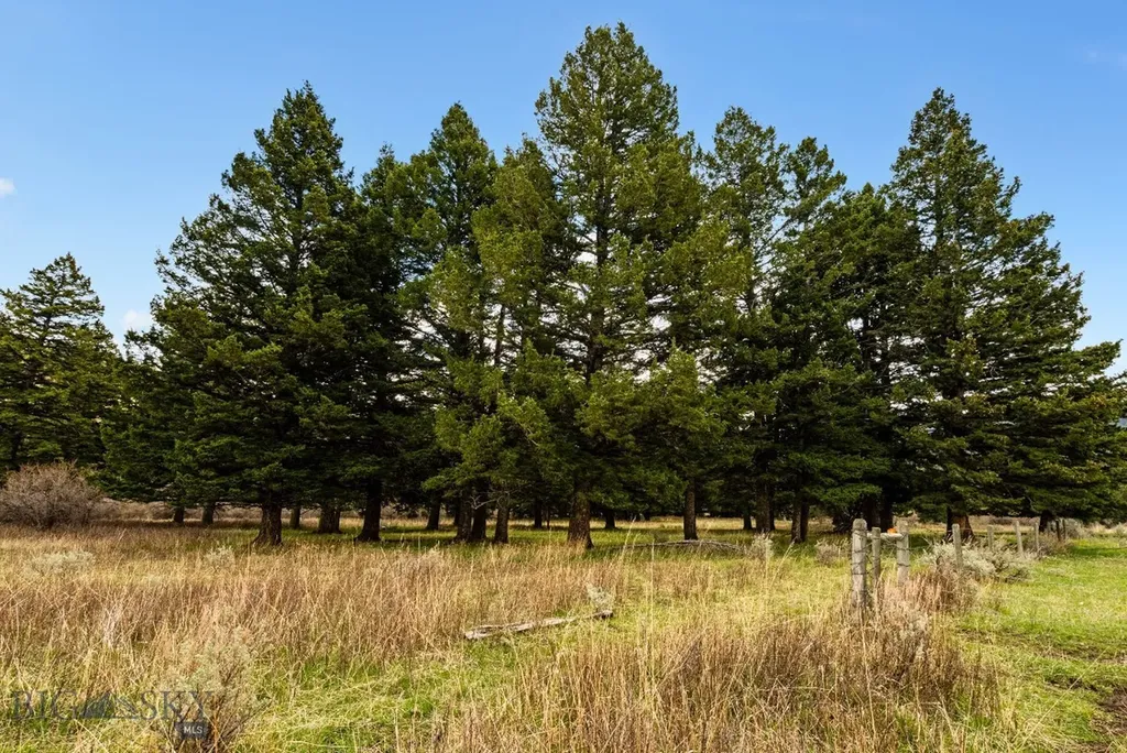 455 Harrison Meadow Bozeman MT 59715