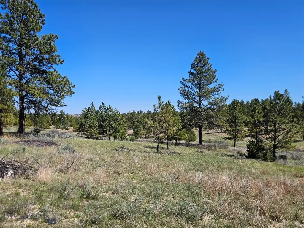 MC-10A Vale Drive Miles City MT 59301