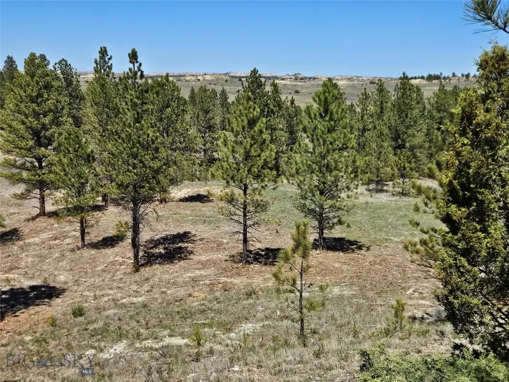 MC-10A Vale Drive Miles City MT 59301