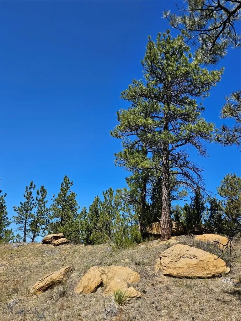 MC-10A Vale Drive Miles City MT 59301