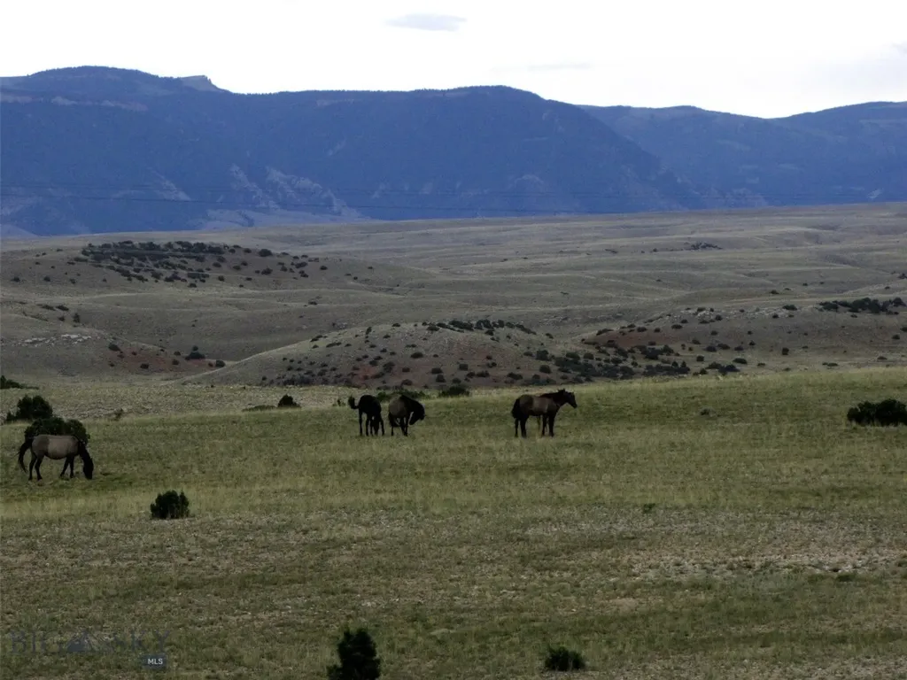 517 Deadman Creek Road Bridger MT 59014