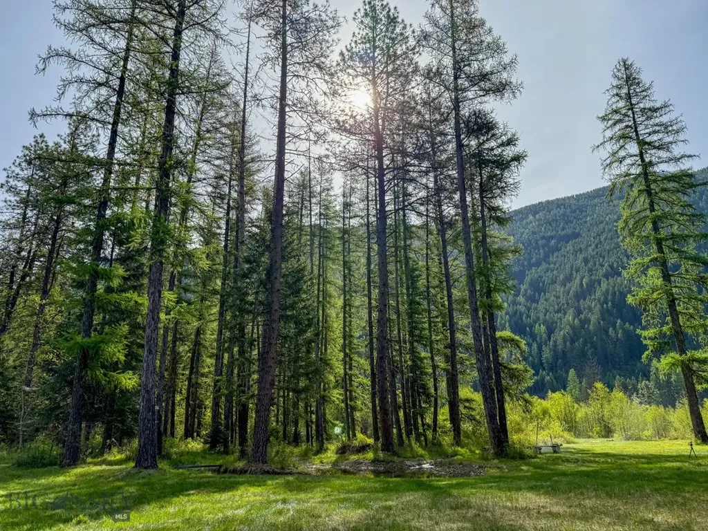 168 Hope Valley Road Trout Creek MT 59874