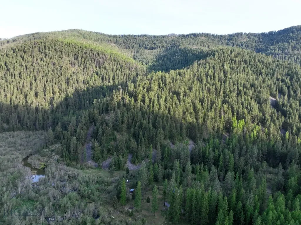 168 Hope Valley Road Trout Creek MT 59874