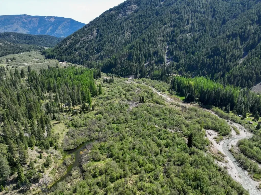 168 Hope Valley Road Trout Creek MT 59874
