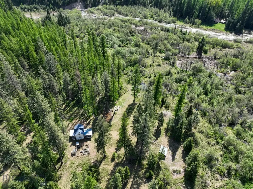 168 Hope Valley Road Trout Creek MT 59874