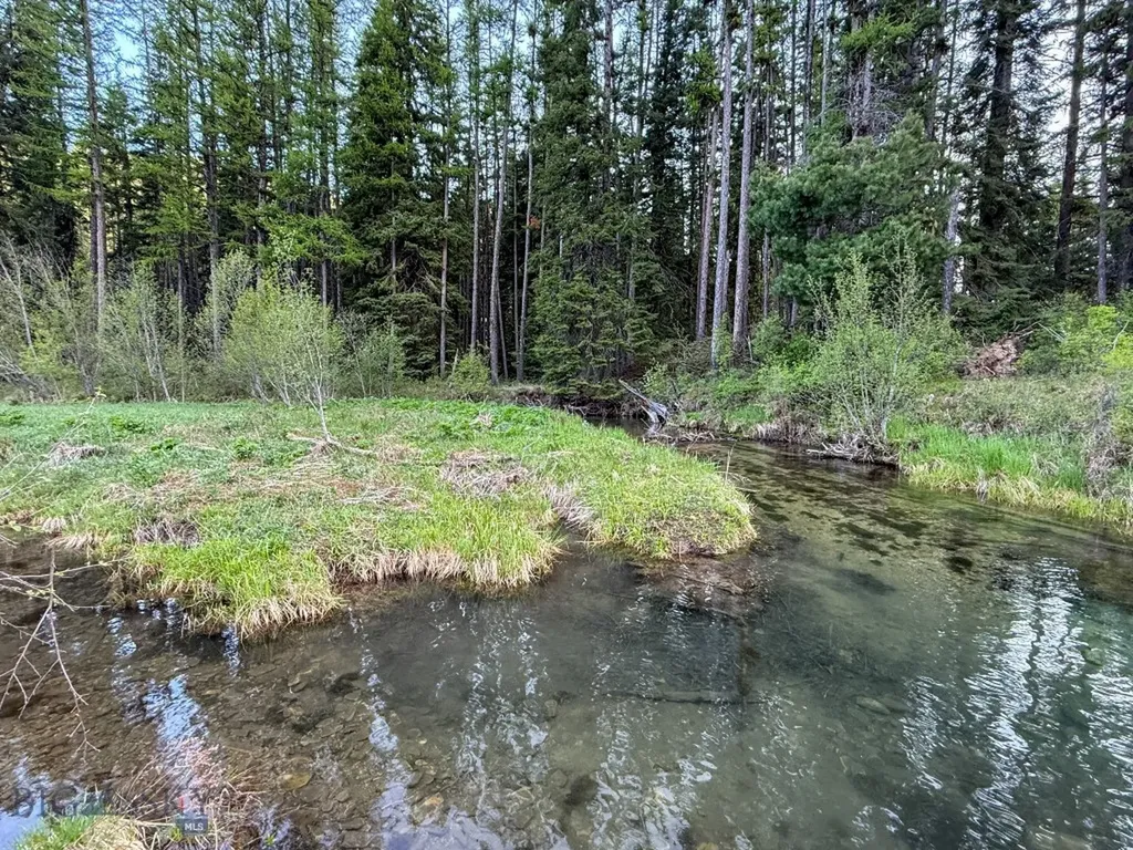 168 Hope Valley Road Trout Creek MT 59874