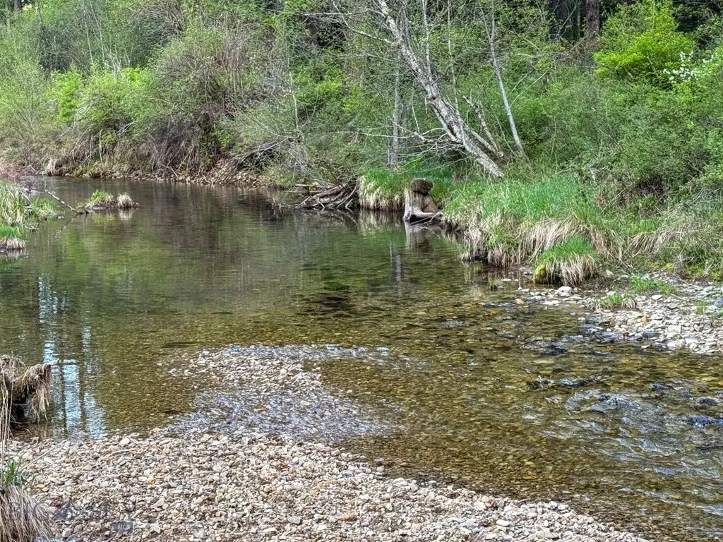 168 Hope Valley Road Trout Creek MT 59874