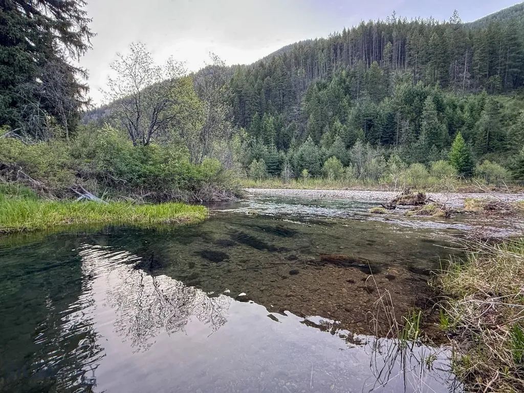 168 Hope Valley Road Trout Creek MT 59874