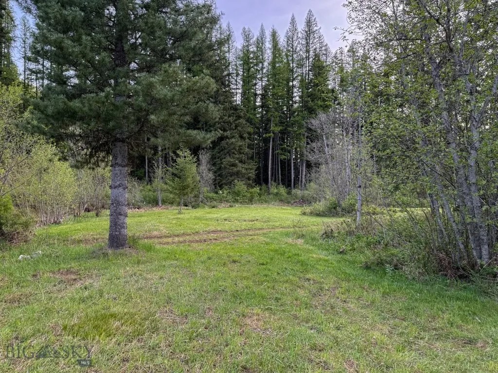 168 Hope Valley Road Trout Creek MT 59874