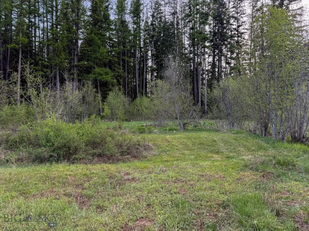 168 Hope Valley Road Trout Creek MT 59874