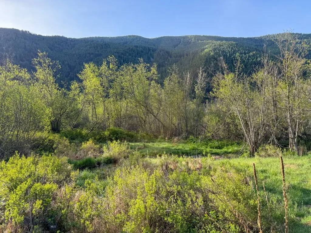 168 Hope Valley Road Trout Creek MT 59874