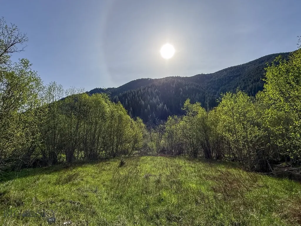 168 Hope Valley Road Trout Creek MT 59874