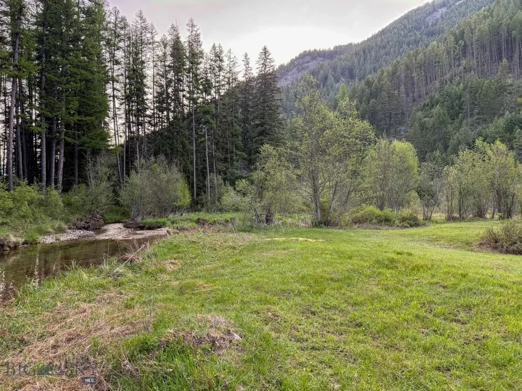 168 Hope Valley Road Trout Creek MT 59874