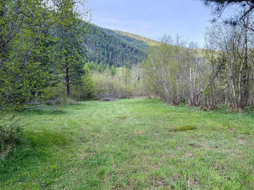 168 Hope Valley Road Trout Creek MT 59874