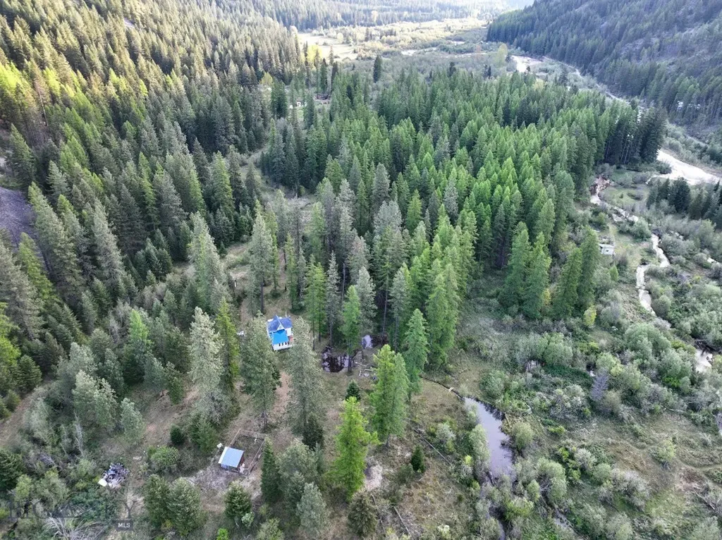 168 Hope Valley Road Trout Creek MT 59874