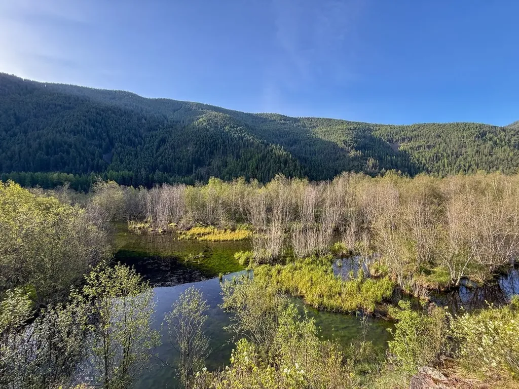 168 Hope Valley Road Trout Creek MT 59874