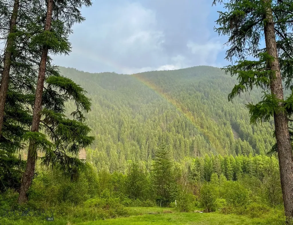 168 Hope Valley Road Trout Creek MT 59874