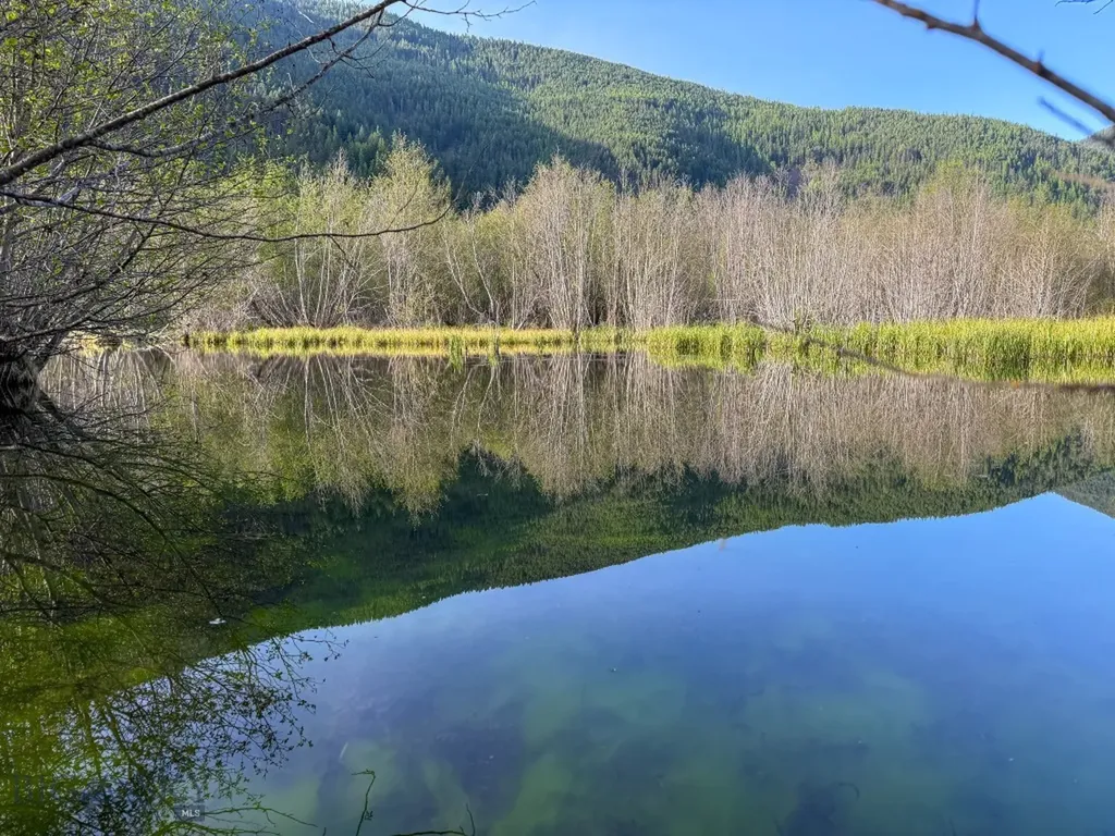 168 Hope Valley Road Trout Creek MT 59874