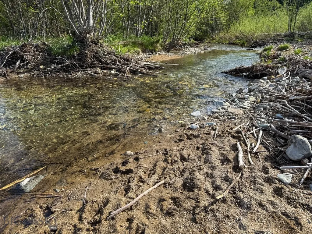 168 Hope Valley Road Trout Creek MT 59874