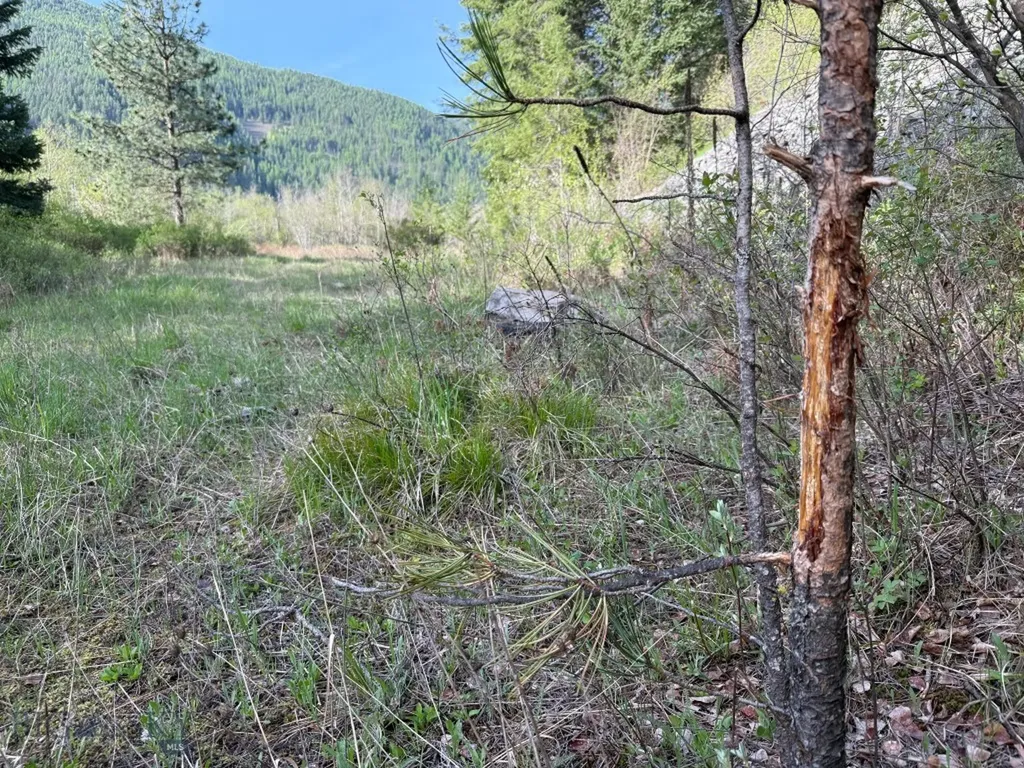 168 Hope Valley Road Trout Creek MT 59874