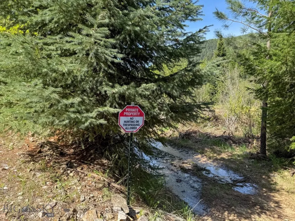 168 Hope Valley Road Trout Creek MT 59874