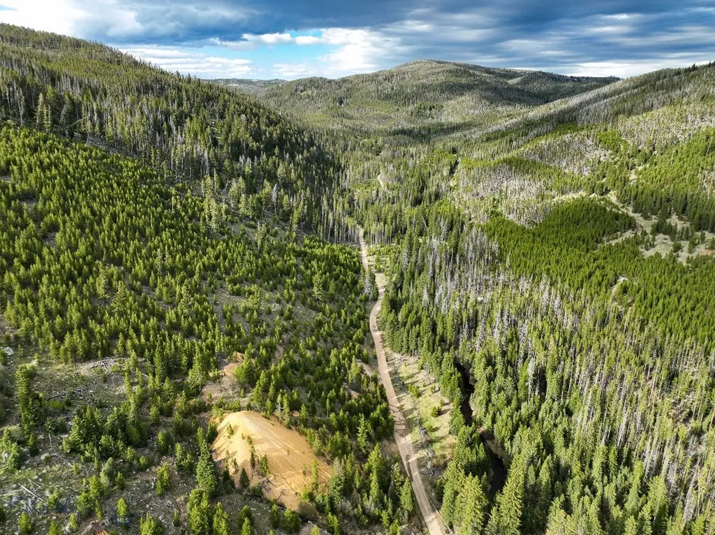 Nhn (Clipper Lode) Cataract Creek Road Boulder MT 59632