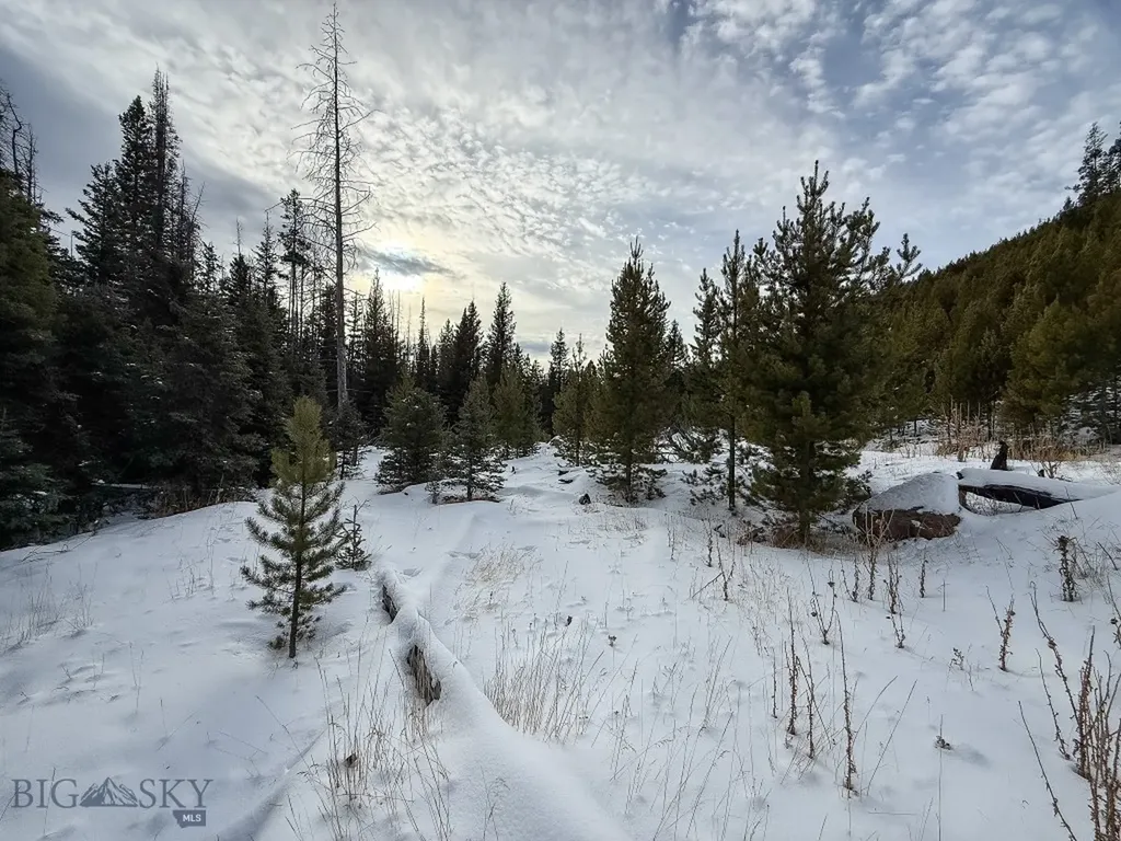 Nhn (Clipper Lode) Cataract Creek Road Boulder MT 59632