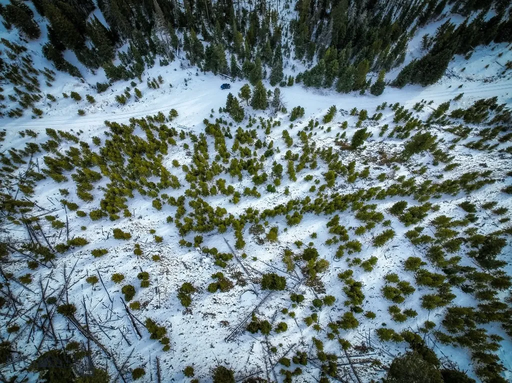 Nhn (Clipper Lode) Cataract Creek Road Boulder MT 59632