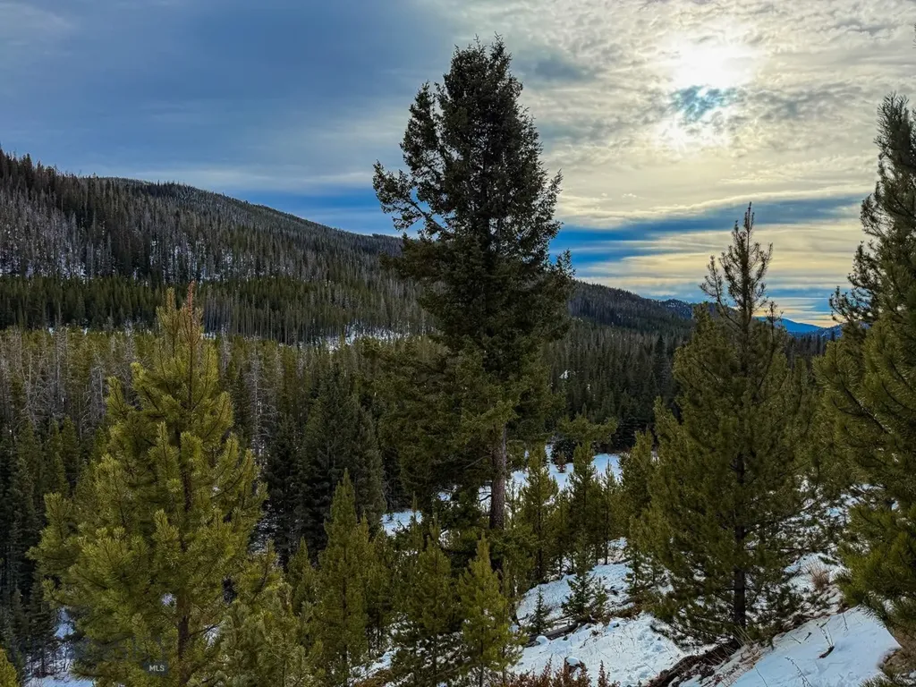 Nhn (Clipper Lode) Cataract Creek Road Boulder MT 59632