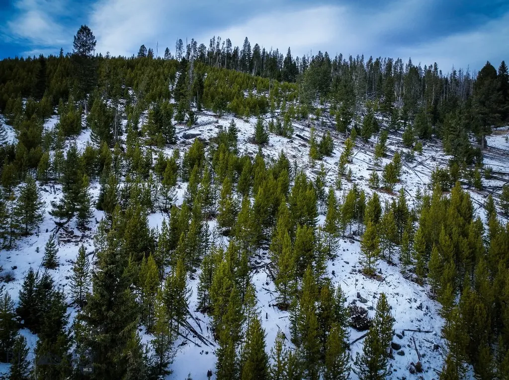 Nhn (Clipper Lode) Cataract Creek Road Boulder MT 59632