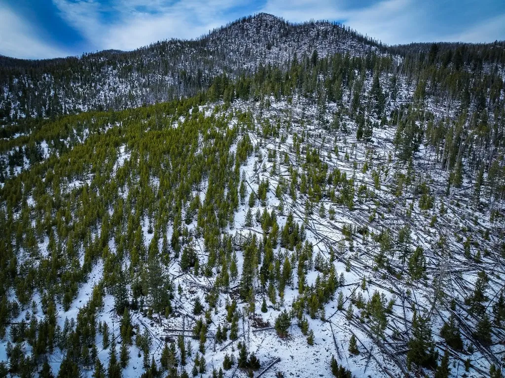Nhn (Clipper Lode) Cataract Creek Road Boulder MT 59632