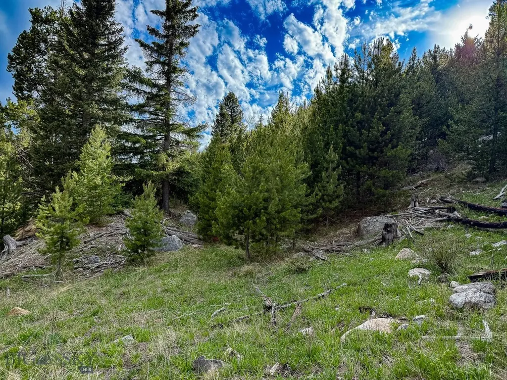 Nhn (Clipper Lode) Cataract Creek Road Boulder MT 59632